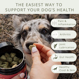 Premium Hip & Joint Chews for Dogs - Green-Lipped Mussel, Collagen & Chondroitin for Pain Relief & Flexibility - 90 count - Pure Dogs Co