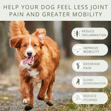 Premium Hip & Joint Chews for Dogs - Green-Lipped Mussel, Collagen & Chondroitin for Pain Relief & Flexibility - 90 count - Pure Dogs Co