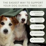 Calming Treats for Dogs Against Stress, Fireworks, Separation, Travel - Calming anxiety chews supplements for dogs -  90 count - Pure Dogs Co