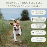 Calming Treats for Dogs Against Stress, Fireworks, Separation, Travel - Calming anxiety chews supplements for dogs -  90 count - Pure Dogs Co