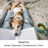 Calming Treats for Dogs Against Stress, Fireworks, Separation, Travel - Calming anxiety chews supplements for dogs -  90 count - Pure Dogs Co