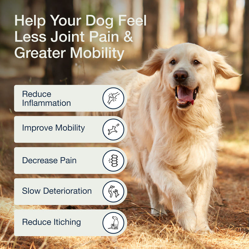 Hip Joint Dog Chews Improve Mobility and Joint Health – Pure